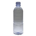 16.9 Oz. Panel Bottled Water